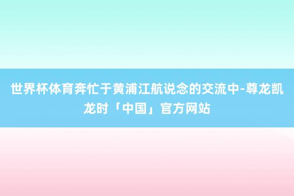 世界杯体育奔忙于黄浦江航说念的交流中-尊龙凯龙时「中国」官方网站