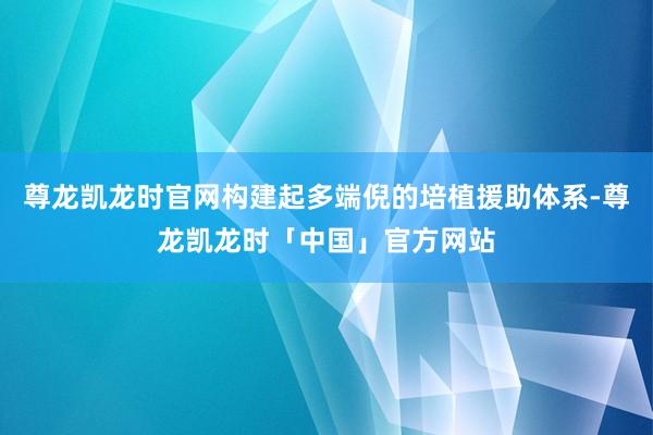 尊龙凯龙时官网构建起多端倪的培植援助体系-尊龙凯龙时「中国」官方网站
