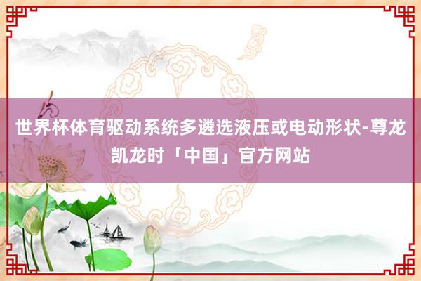 世界杯体育驱动系统多遴选液压或电动形状-尊龙凯龙时「中国」官方网站
