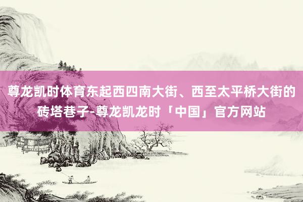 尊龙凯时体育东起西四南大街、西至太平桥大街的砖塔巷子-尊龙凯龙时「中国」官方网站